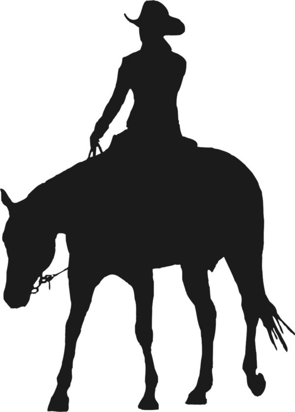 Cowgirl  - Pferd - Western - Reitsport