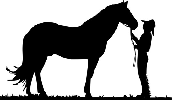 Cowboy - Pferd - Western - Reitsport
