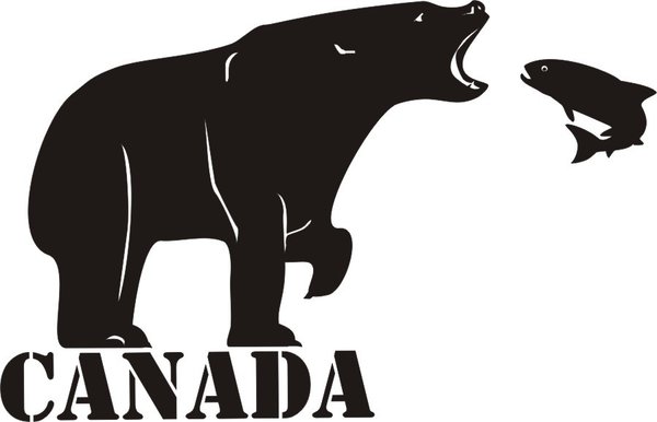 Canada - Bär - Grizzly - Kanada - Bear