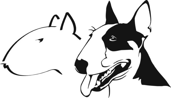 Bullterrier - Bull Terrier - Hunde - Wandtattoo