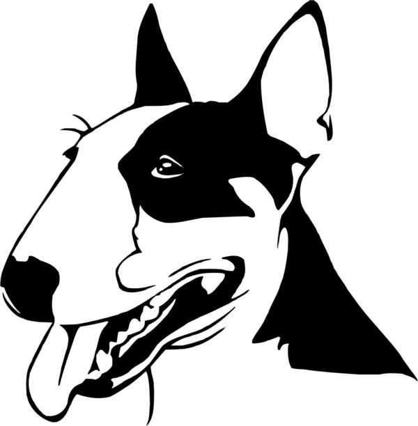 Bullterrier - Terrier - Einzelmotiv - Hunde - Wandtattoo