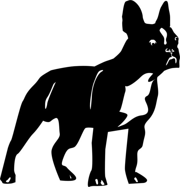 Autoaufkleber - Hund - Französische Bulldogge