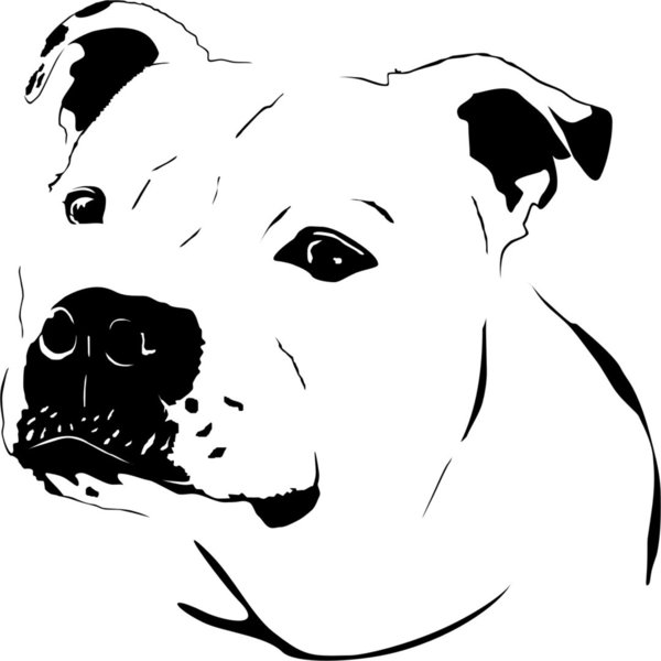 Staffordshire - Bullterrier - Hund - Wandtattoo