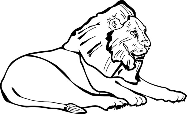 Löwe - Löwen - Raubtier - Tiermotiv - Autoaufkleber
