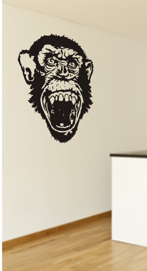 Affe - Gesicht - Schimpanse - Primat - Wandtattoo