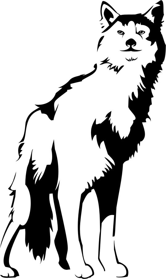 Wolf - Raubtier - Tiermotiv - Wandtattoo