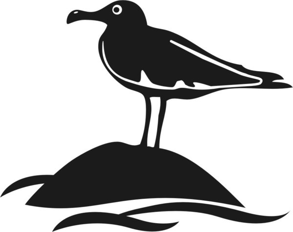 Möwe - Küstenvogel - Vogel - Küste - Autoaufkleber