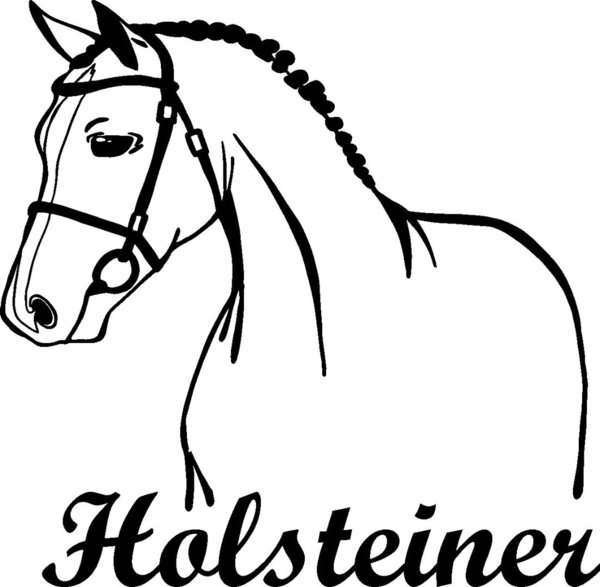 Holsteiner - Pferd