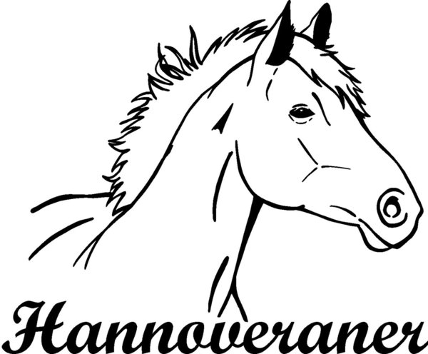 'Hannoveraner' – Pferd, Pferderasse
