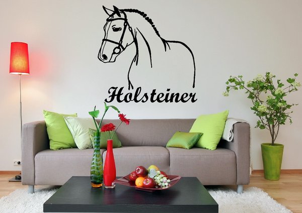 'Holsteiner' – Pferd, Pferderasse