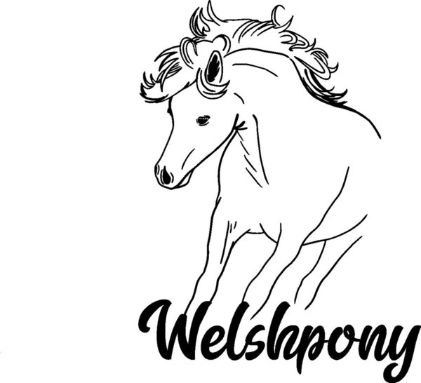 'Welshpony' - Welsh - Pony
