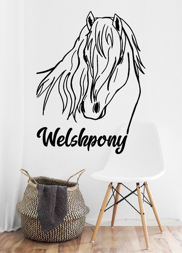 'Welsh-Pony' - Pony – Pferd