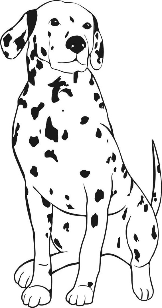 Wandtattoo - Hund - Dalmatiner